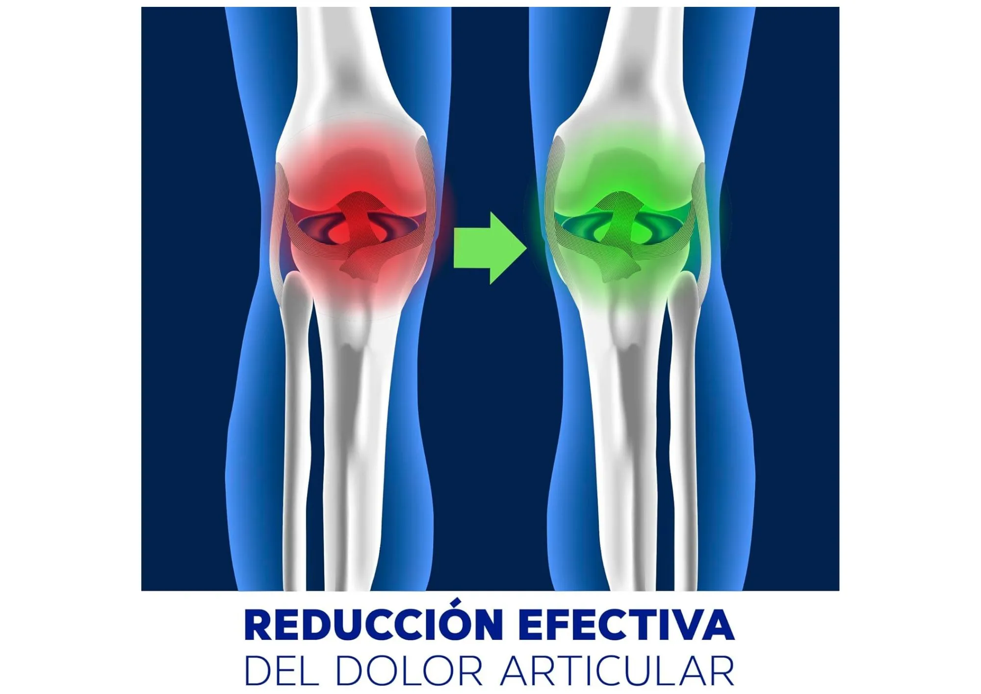 Flexi Colágeno Reforzado Estado Puro - Imagen 2