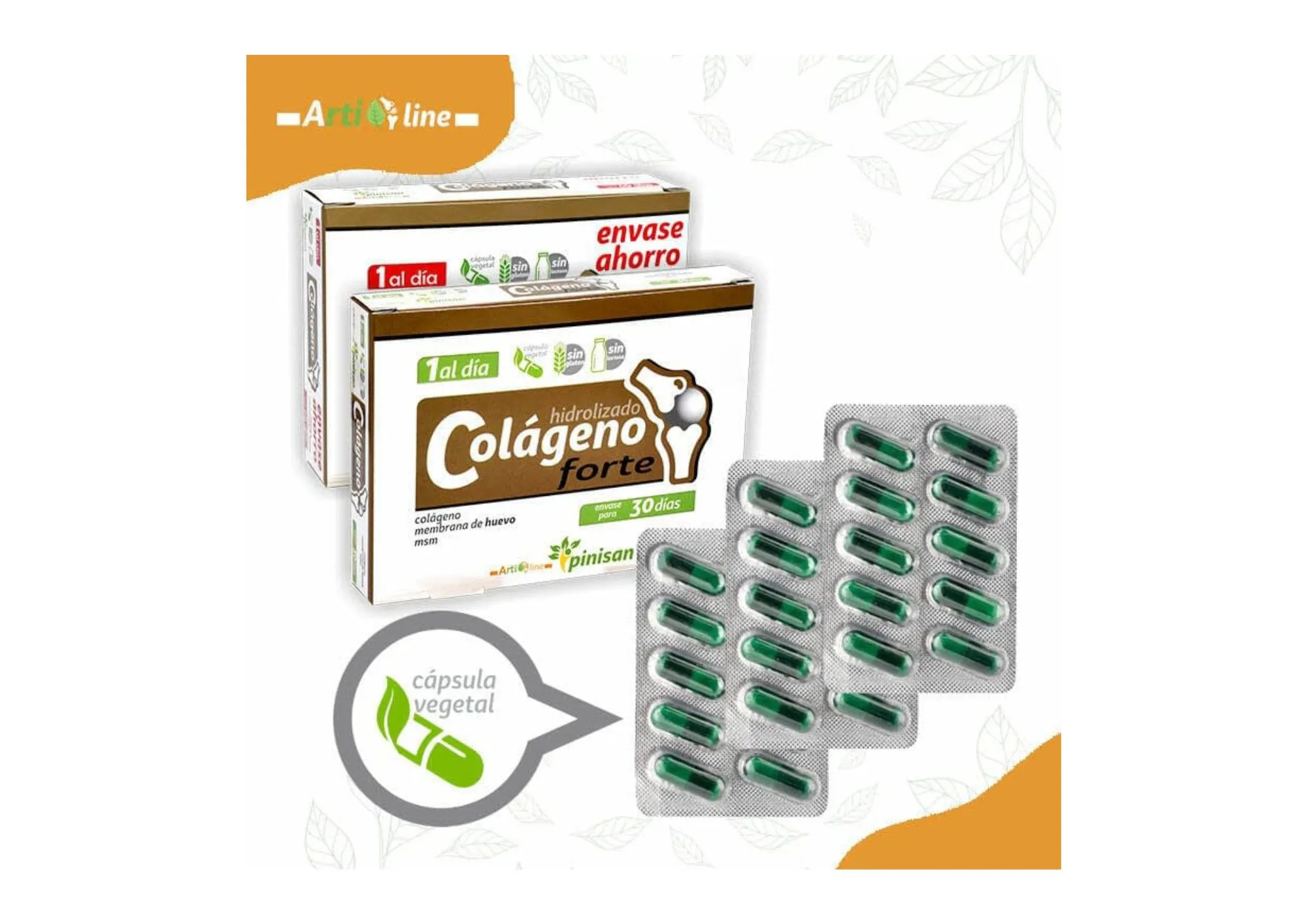 Colágeno Forte Pinisan - Imagen 3