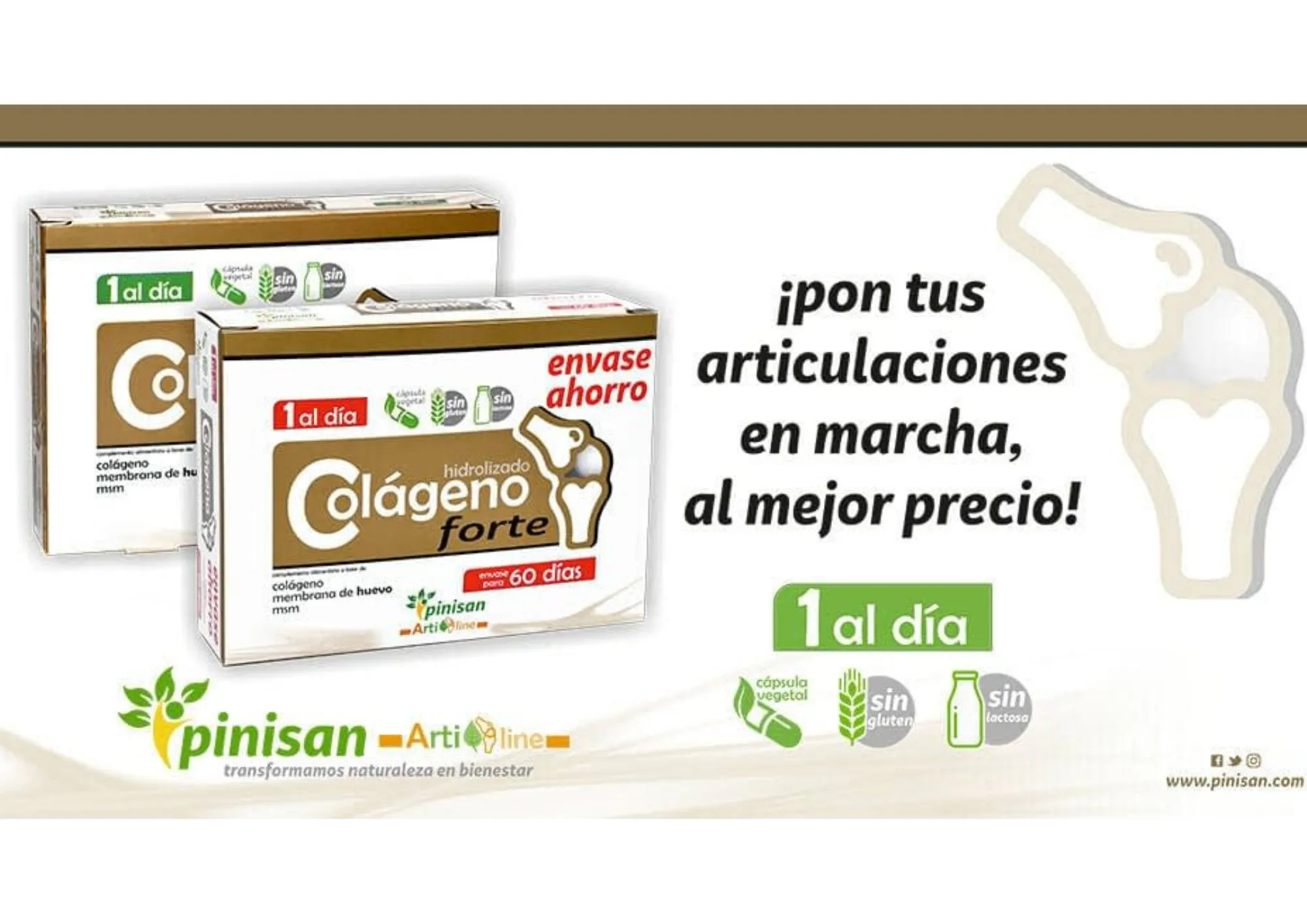 Colágeno Forte Pinisan - Imagen 4