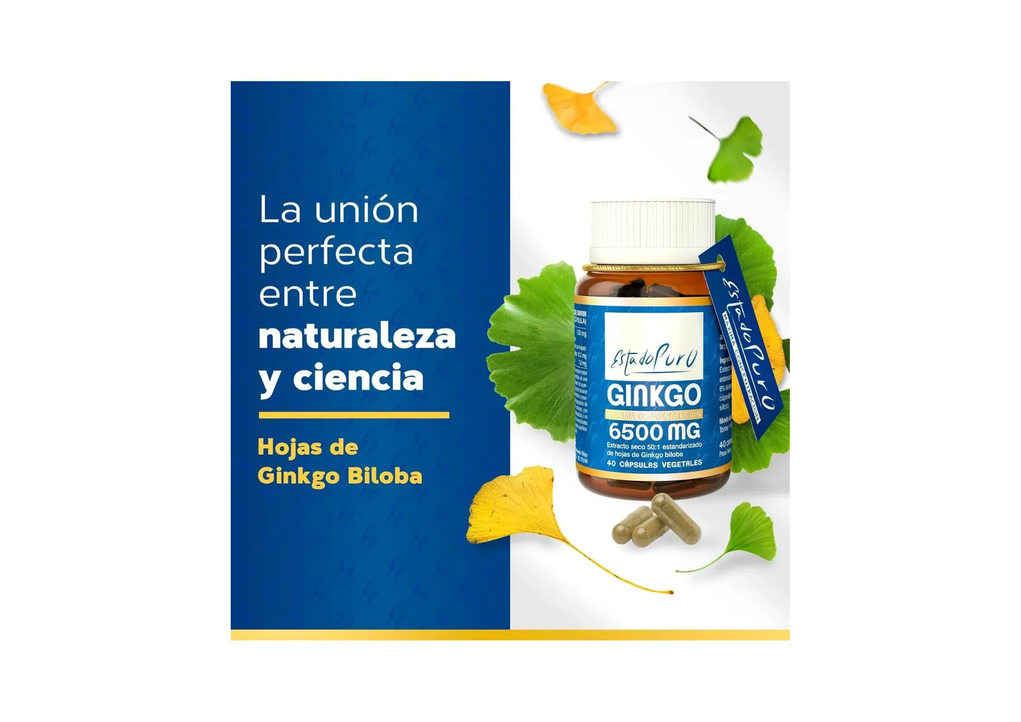 Ginkgo 6500mg Estado Puro - Imagen 2