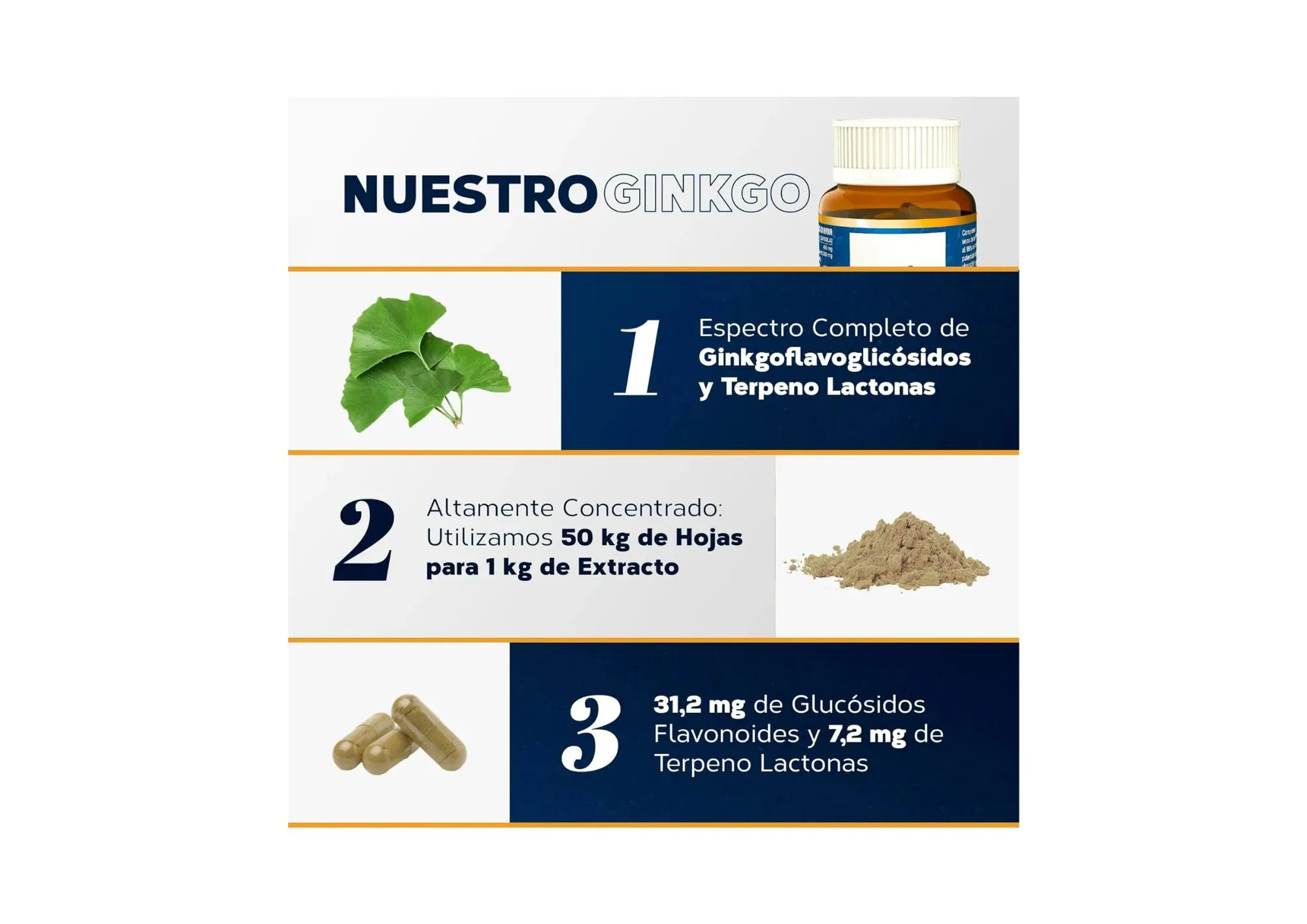 Ginkgo 6500mg Estado Puro - Imagen 3